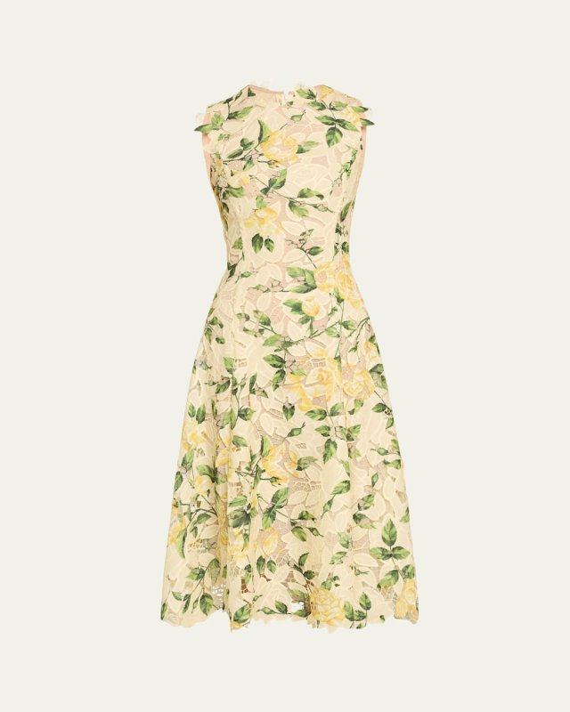 Sleeveless Printed Garden Rose Guipure A-Line Dress
